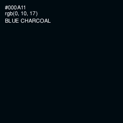#000A11 - Blue Charcoal Color Image